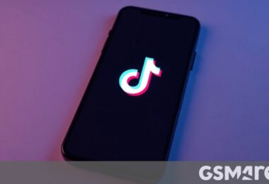 TikTok’s US ban delayed for 75 days